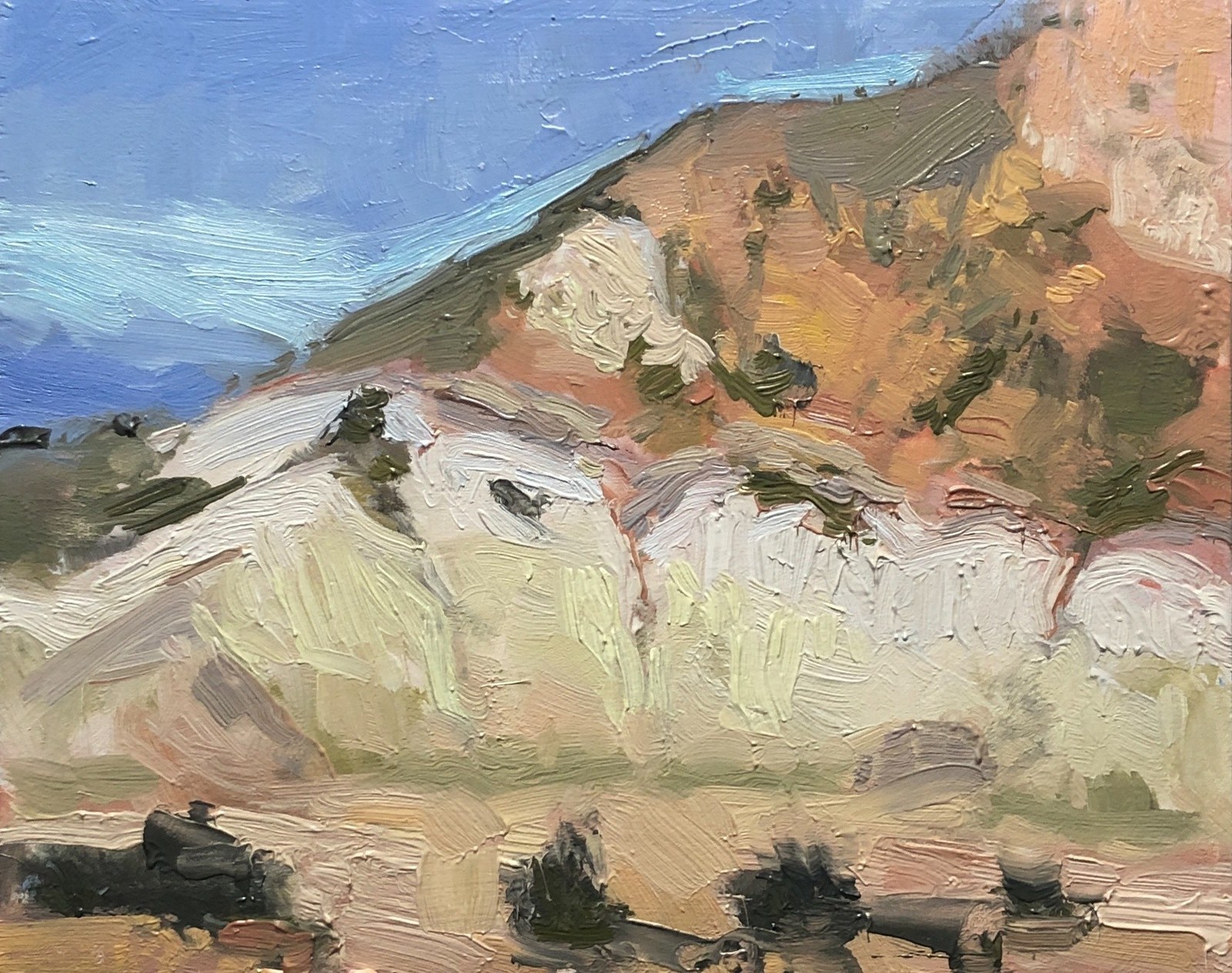 Cali Hillside, oil on birch panel