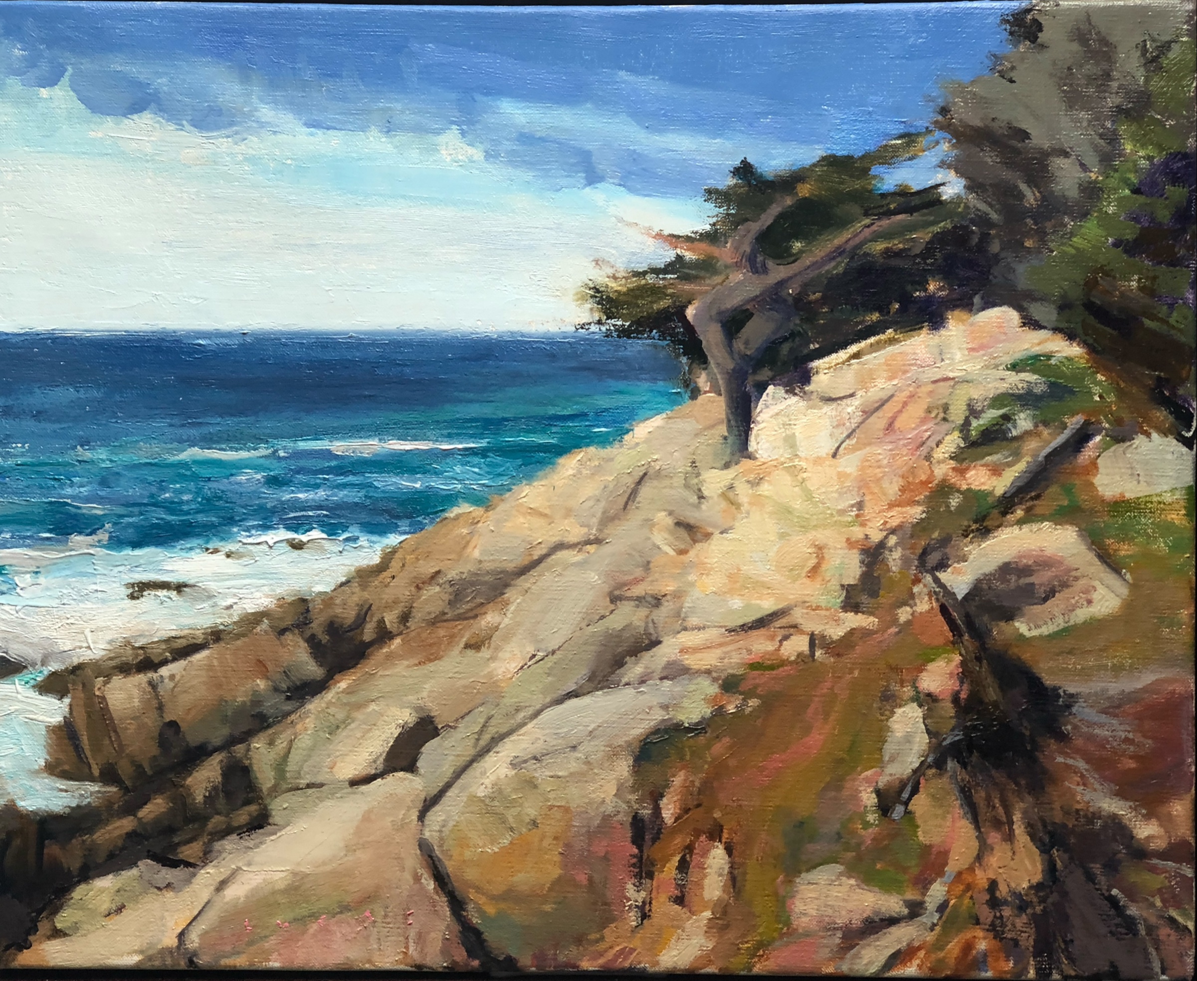 Cypress on 17 Mile Drive, oil on birch panel