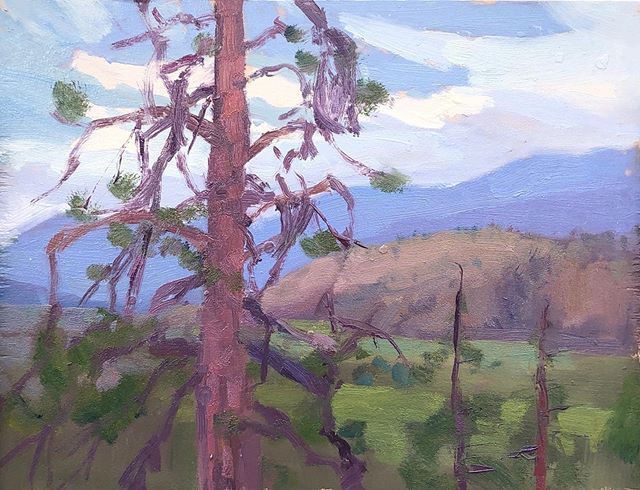 Knotty Pines above oliver. A favourite place to study.
