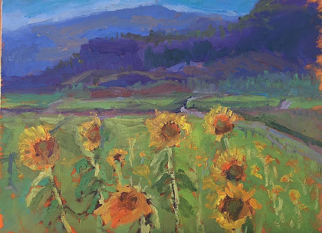 Sunflower field, the 12 by 9 inch sketch