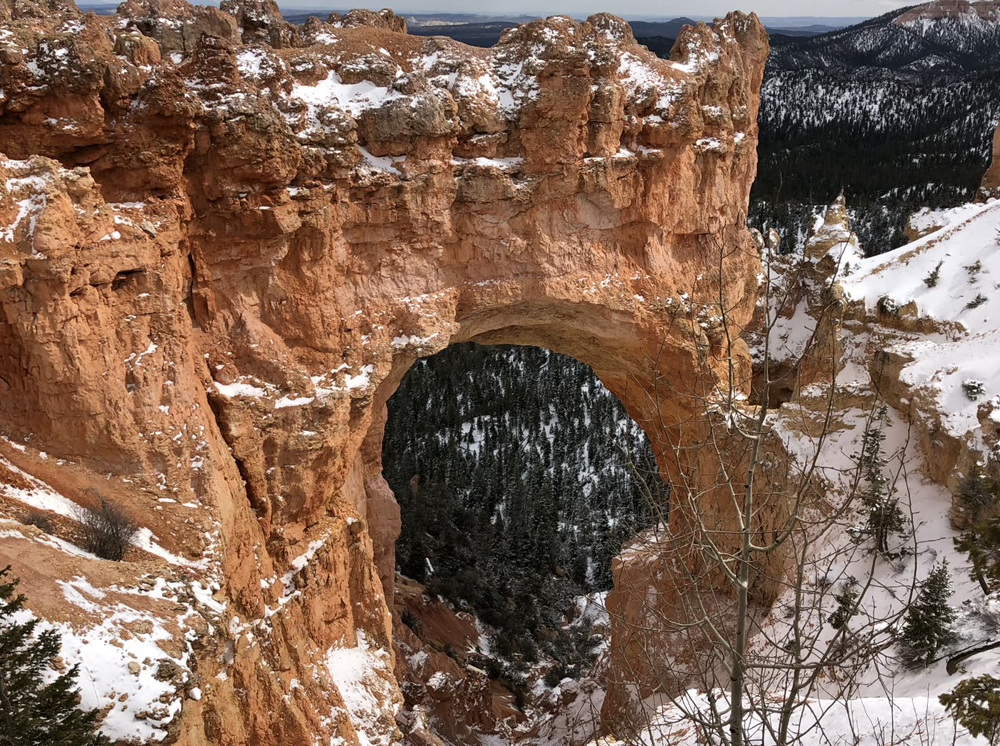 Photo of Bryce Canyon, Utah taken before painting Natural Bridge