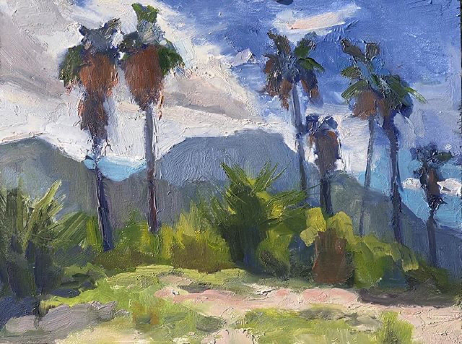 Backlit Palm Trees at Loreto Bay