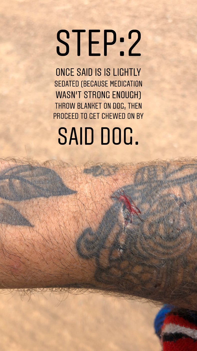 Mark’s tattooed forearm with a small dog bite, an Instagram story caption above it